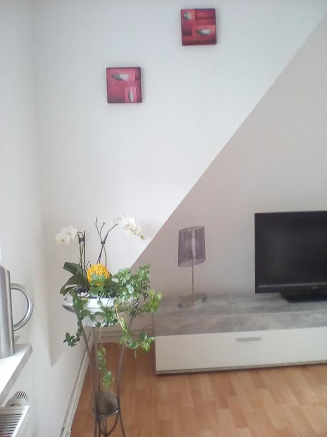 Ferienwohnung Am Geiersberg Walkenried Eksteriør billede