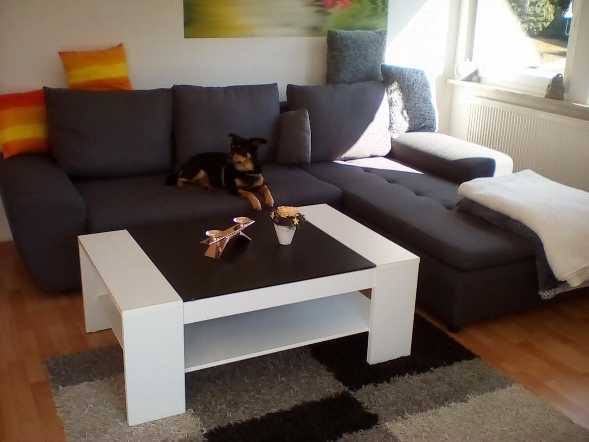 Ferienwohnung Am Geiersberg Walkenried Eksteriør billede